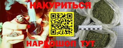 дмт Кингисепп