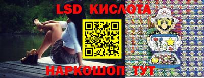 дмт Кингисепп