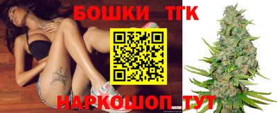 дмт Кингисепп