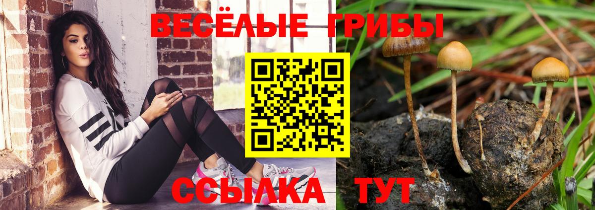Галлюциногенные грибы Cubensis  Псилоцибиновые грибы MAGIC MUSHROOMS  продажа наркотиков  Вход с VPN  Северодвинск 