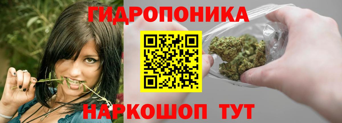 Марихуана планчик  МАРИХУАНА конопля  Северодвинск  Конопля план  Вход с VPN 